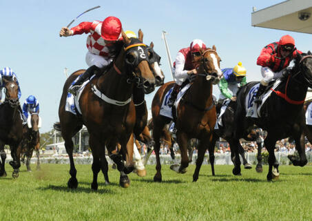 Rosehill Gardens