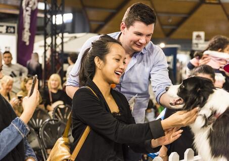 Dog and Cat Lovers Festival Showgrounds
