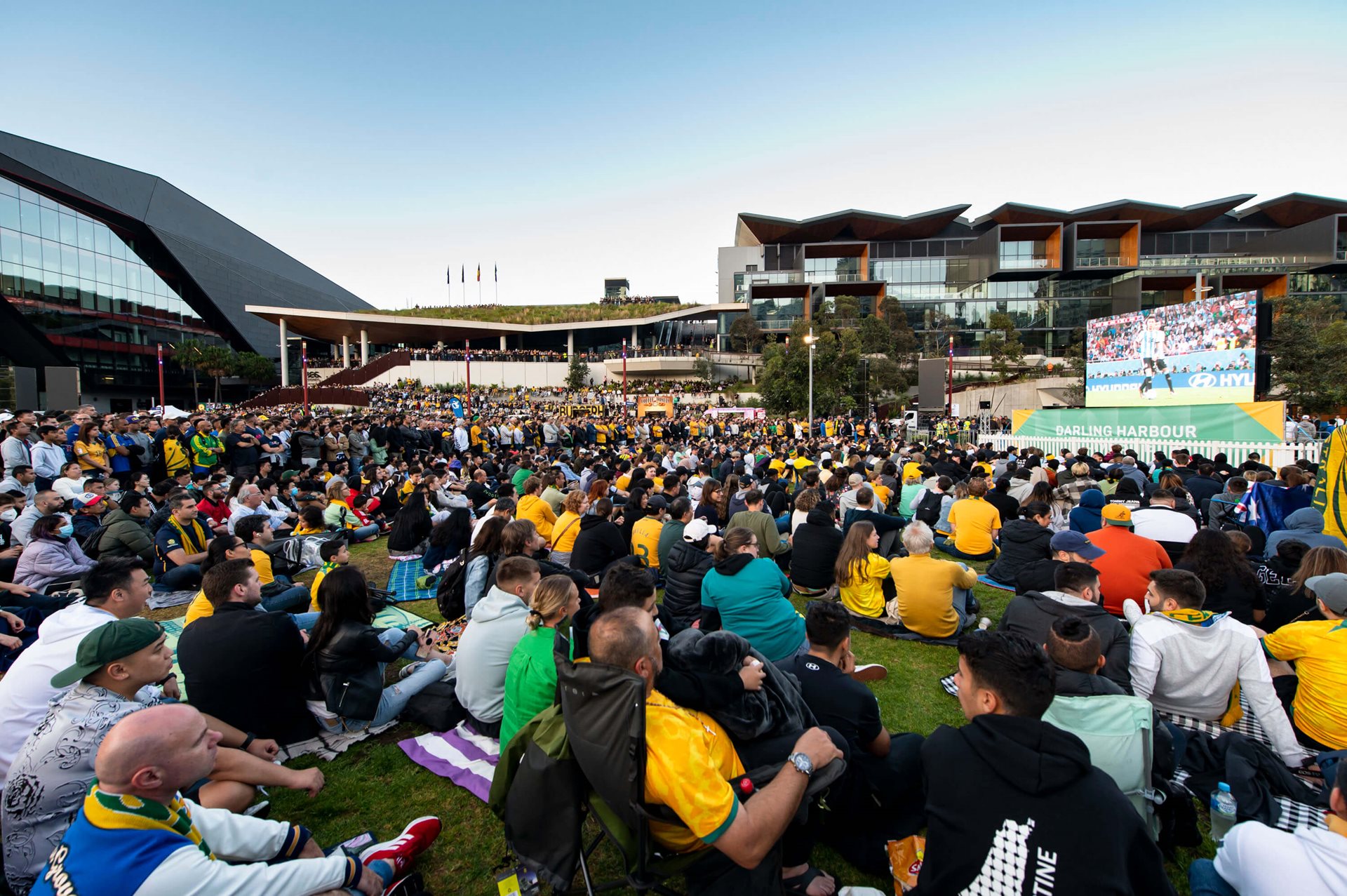 FIFA world cup live site