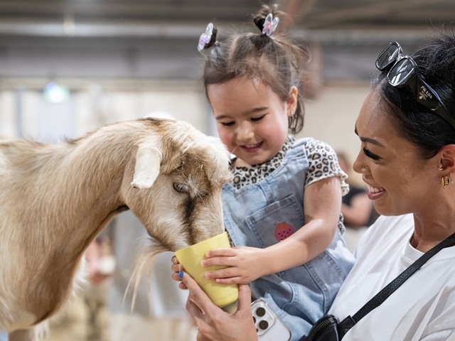 Easter Show 2026 Home Carousel