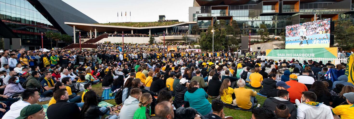 FIFA world cup live site