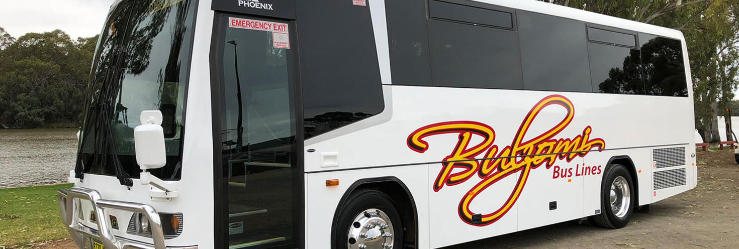 Bus parked on a road under a tree