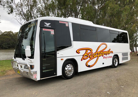 Bus parked on a road under a tree